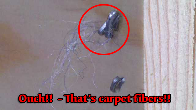 carpet fibers on bent staple from flooring damage