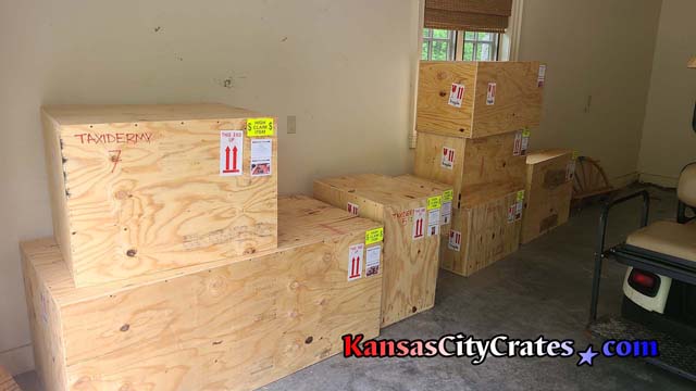 A dozen solid wall taxidermy crates ready for shipping